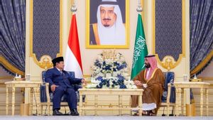 Presiden Prabowo dan Putra Mahkota Arab Saudi Tegaskan Kemerdekaan Palestina