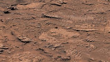 NASA's Curiosity Explorer Find Evidence Of Once Water Waves On Mars