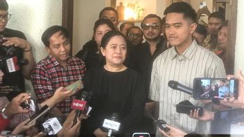 Kaesang Apologizes PSI Cadres Have Been 'Hot' With PDIP, Puan Maharani: Only A Matter Of Communication