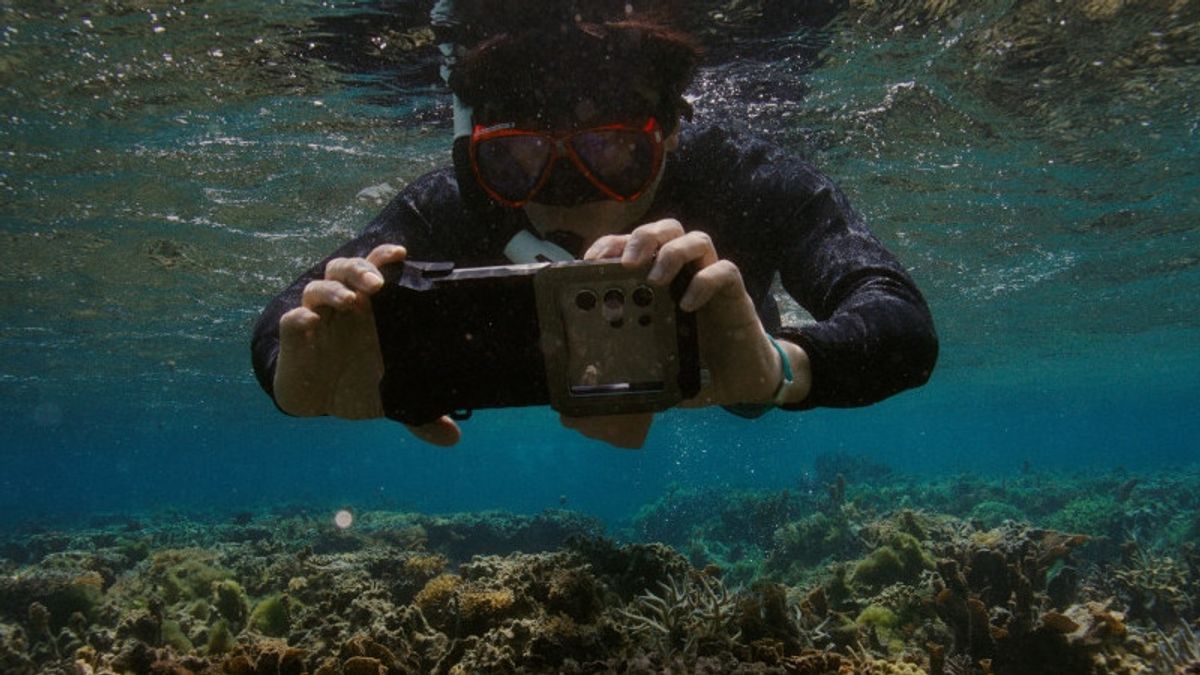 Samsung Bantu Seatrees Pulihkan Terumbu Karang dengan Fitur Ocean Mode di Seri Galaxy S25 