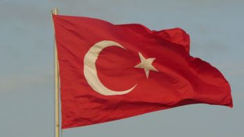 Bukan AS, Pemerintah Turki Curi <i>Start</i> Investigasi Pendiri FTX Sam Bankman-Fried Atas Dugaan Penipuan
