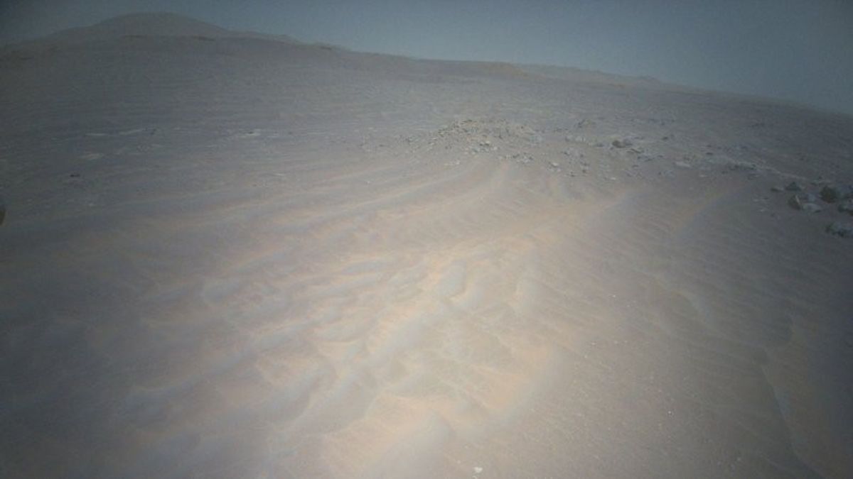 火星有美丽的沙漠，就像在地球上一样，这就是它的样子！