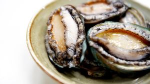 Ragam Manfaat Kerang Abalone untuk Kesehatan, Sudah Pernah Coba? 