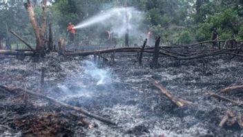 Kebakaran Hutan dan Lahan di Aceh Barat Meluas hingga 7,5 Hektare