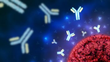 The Surprising Fact Behind the Rare Human Chromosome Number