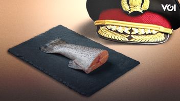 休根的遗产和来自其他国家的教训