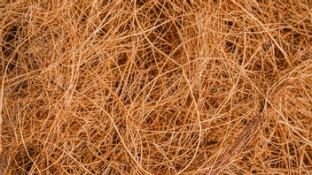 Knowing Various Types of Natural Fiber Materials from Plants for Aesthetic Crafts