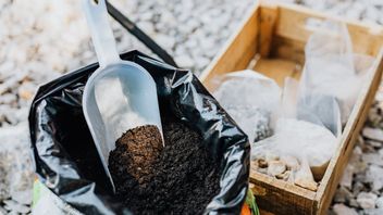 نصائح عملية وسهلة لصنع السماد للمبتدئين