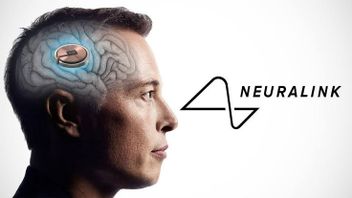At The End Of This Year, Elon Musk Will Plant Chips In The Human Brain