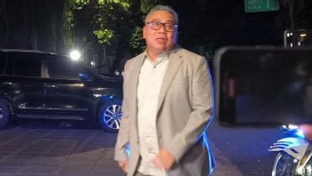 KPK Lidik Korupsi Kementan, 2 Anak SYL Temui Waketum NasDem Ahmad Ali