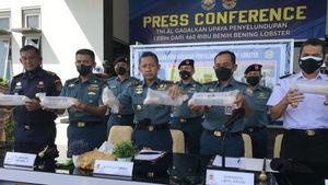 TNI AL Berhasil Gagalkan Penyelundupan 466.000 Benur Lobster Seharga Rp46,7 Miliar