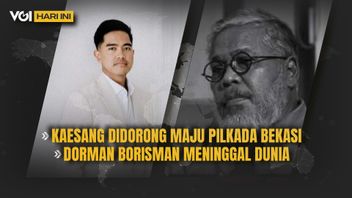 VIDEO: Kaesang Driven Forward To The Bekasi Pilkada, Dorman Borisman Dies