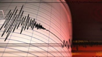 5.4级地震震动了马鲁古的布鲁摄政