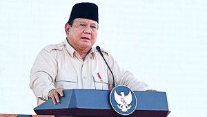 Prabowo Tetapkan Anggaran Pupuk Subsidi Naik jadi Rp46,9 Triliun di 2026
