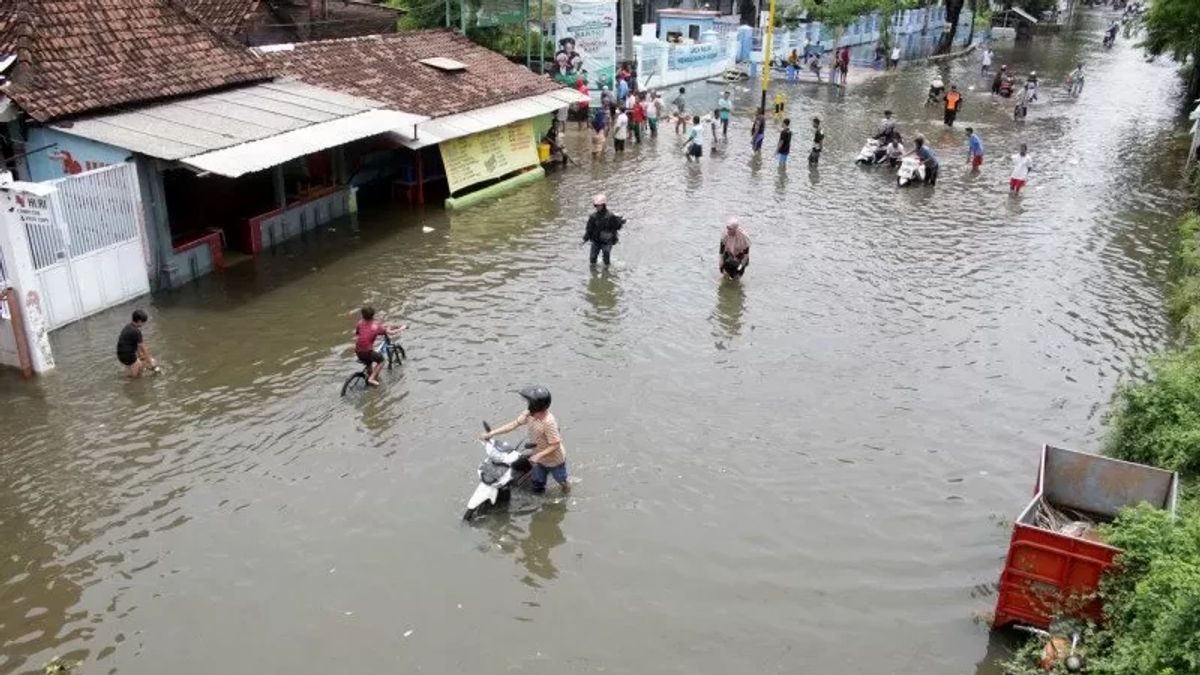 Banjir Siantang Kalbar: 104 Desa Terendam Diperkirakan Makin Meluas, Sekolah Diliburkan 