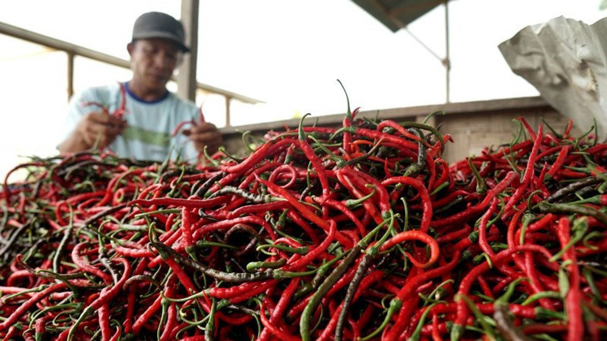 The Increase In Chili Prices Becomes The Highest Contributor Of Inflation In Madiun In June 2022
