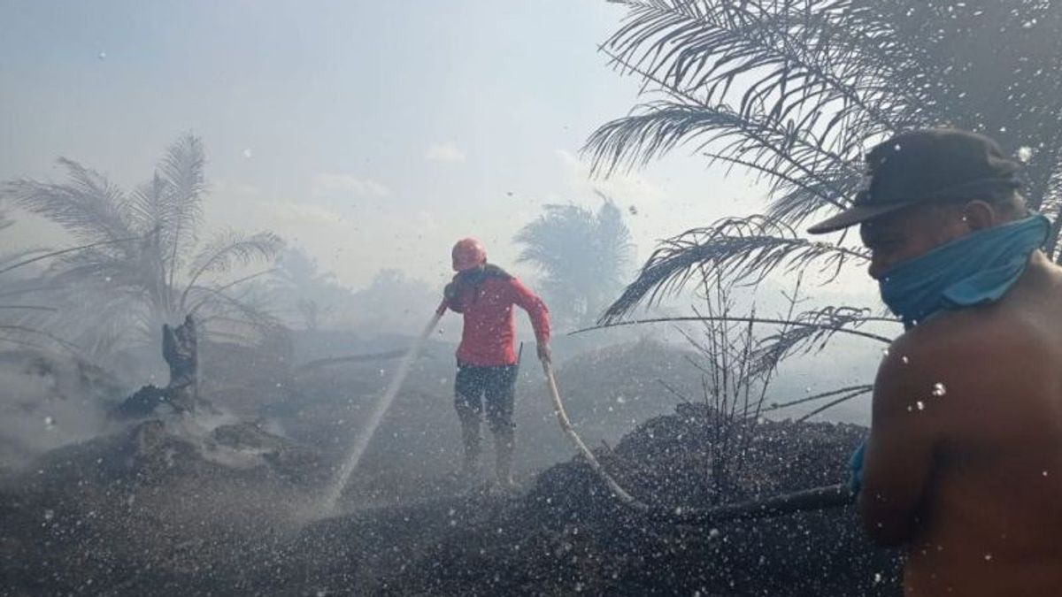 Operasional Kilang Unit II Dumai Dihentikan Usai Kebakaran, Pertamina: Memastikan Kondisi Aman