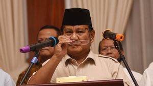 Prabowo Kucurkan Rp5 Triliun untuk Tambah 30 Rangkaian Kereta Baru KAI