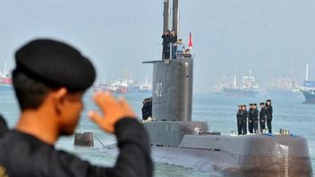 時間に対するレース、セルカンバワンウォーターズはKRIナンガラ-402潜水艦の検索の焦点です