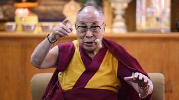 Criticizing Chinese Leader, Dalai Lama: Their Ideas Are Good, They Don't Understand Cultural Diversity