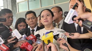 Puan Sambut Baik TNI Bantu Polri Tertibkan Ormas: Selama Sinergi Bisa Dilakukan Bersama