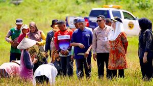 Lahan Pertanian Pangan Berkelanjutan Ditetapkan Seluas 342,63 Hektare di Natuna