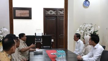 PKBはプラボウォがPSI会議後にジョコウィと会うことに問題はない:インドネシアは堅実で冷静でなければならない