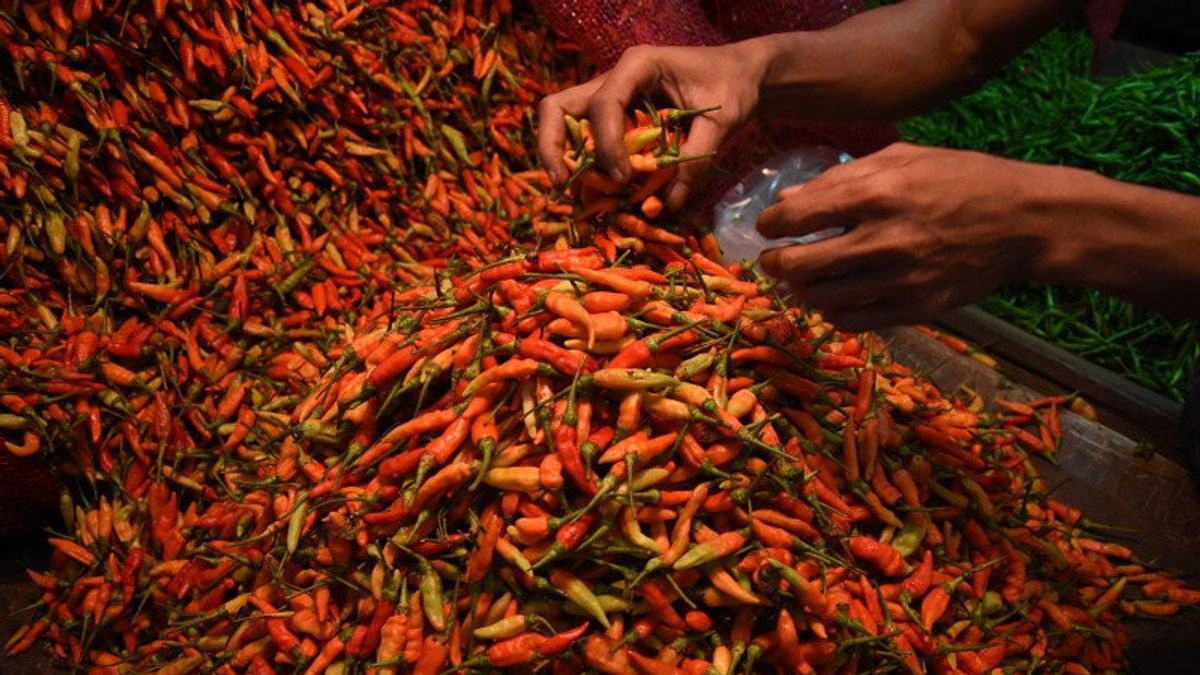 Minister Of Home Affairs Asks Local Governments To Control The Increase In Red Chili Prices