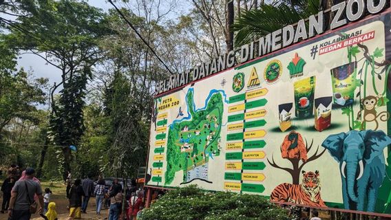 KLHK Bantu Perbaiki Pengelolaan Satwa di Medan Zoo yang Terbengkalai hingga 3 Harimau Mati