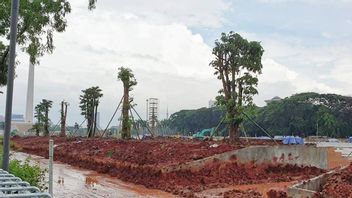 Cutting And Replanting Trees Are Revitalized At Monas
