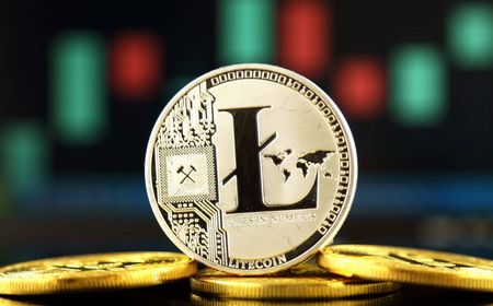 Paus Kripto Nyerok 2,75 Juta Litecoin 