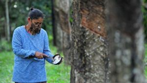 Kementerian PPPA: Pemberdayaan Perempuan di Bidang Ekonomi Jadi Fokus Isu G20