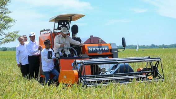 Mentan Amran: Serapan Bulog untuk Gabah Petani Meningkat 2.000 Persen