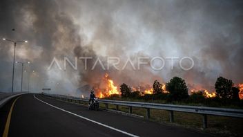 南苏门答腊帕林德拉收费公路一侧的森林和陆地火灾:烟雾收集不干扰航空