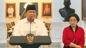 Redam Krisis Nasional, Prabowo Lebih Butuh Figur Megawati Ketimbang Gibran