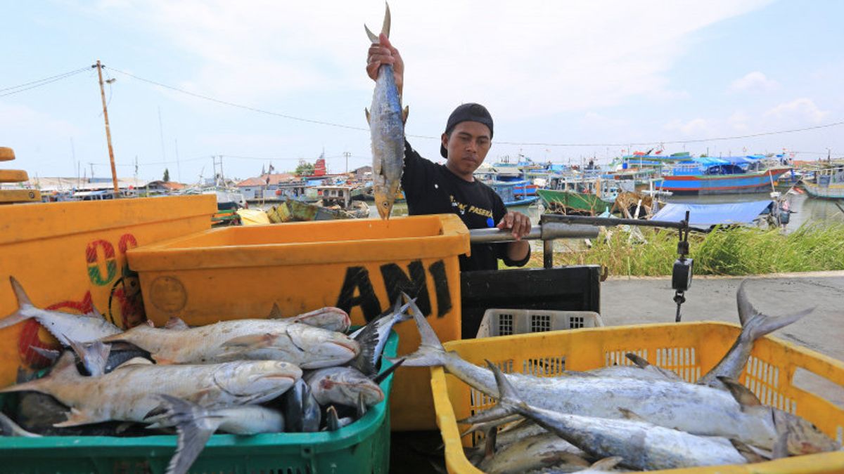 صرف كور للقطاع البحري والسمكي حتى مايو 2022 يصل إلى 3.9 تريليون روبية