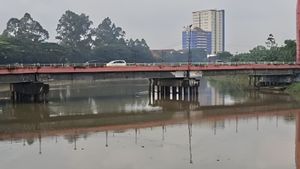 Ikan Mati Mengapung, KLH Selidiki Dugaan Pencemaran Sungai Cisadane Imbas Kebakaran Gudang Pestisida