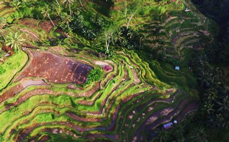 Hidden Gem Ubud, Beberapa Spot Wisata yang Keindahannya Diakui Wisatawan