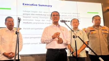 阿姆兰农业部长安cam TIndak Tegas Pengoplos Beras SPHP Jadi Premium