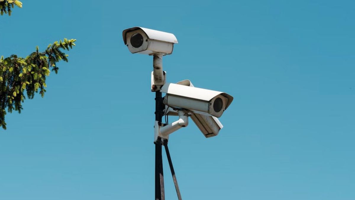 マタラムで野良犬を殺害した加害者は容疑者となった