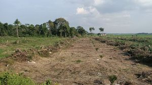 Empty Land Distribution In Tegal Alur Kalideres Triggers Commotion, Residents Ask The Government To Seriously Manage Assets