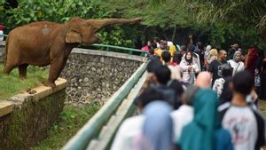 Ragunan Malam Hari Resmi Dibuka 11 Oktober, Segini Tarifnya