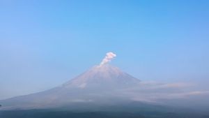 Waspada! Kamis Pagi Gunung Semeru Kembali Lontarkan Abu Vulkanik 1 Km