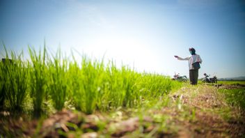 कृषि को मजबूत बनाना, कृषि और संबद्ध विभाग एनरेकांग में शुष्क भूमि का परिवर्तन