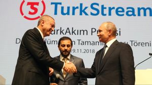 Presiden Erdogan Sebut Turki akan Membuat Hub Internasional untuk Memasok Gas Rusia ke Eropa