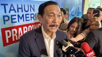 Luhut Denies State Budget Issues For Fast Trains: Who Asks?