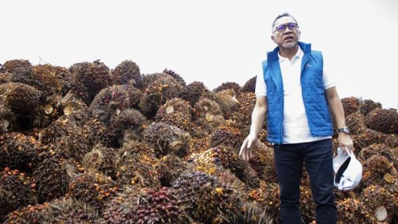 Mendag Zulhas Jamin Sawit Petani Lampung Terserap Pabrik Pengolahan