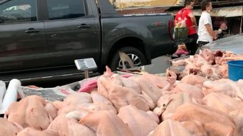Malaysia Beri Larangan Ekspor Ayam
