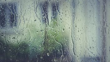 Prakiraan Cuaca Kalimantan Tengah  Hari Ini, BMKG: Waspada  Potensi Hujan Lebat