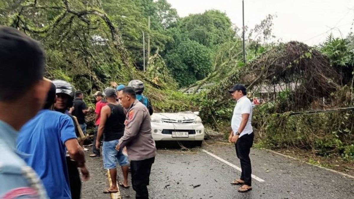 安汶湾电动交通队汽车雨水影响的Tumbang树,一名司机死亡